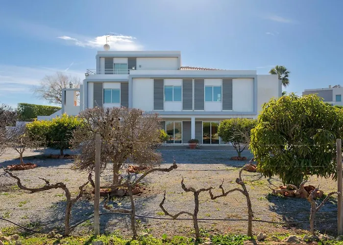 Almond Tree By Interhome